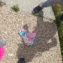 20250814_150357.webp