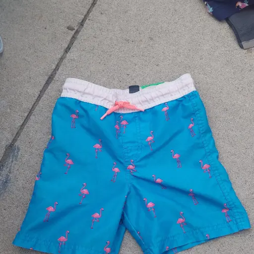 Swim Shorts (Kids Size 4T)