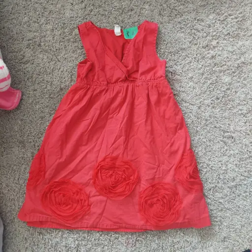 Dress (Kids 8)
