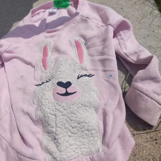 Sweater (Kids 5T)