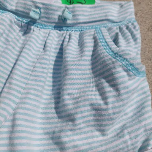 Shorts (Kids 4T)
