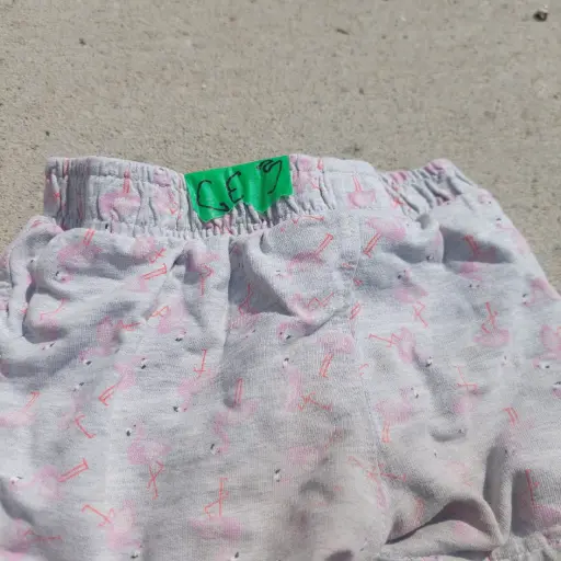 Shorts (Kids 4T)