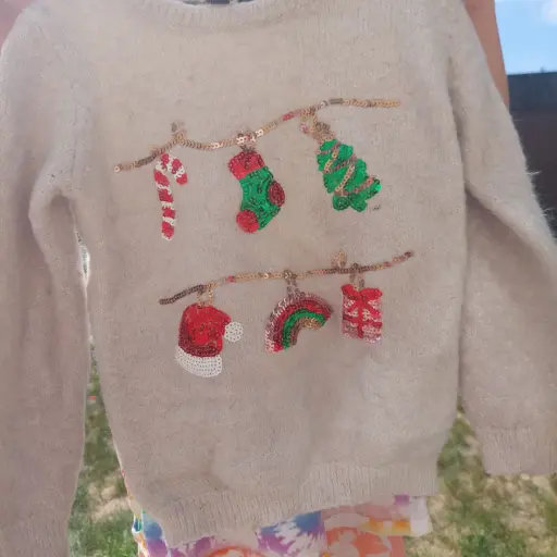 Sweater (Kids 6)